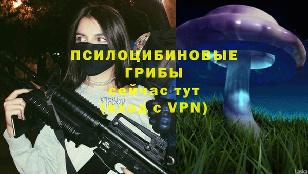 мяу мяу мука Богородицк