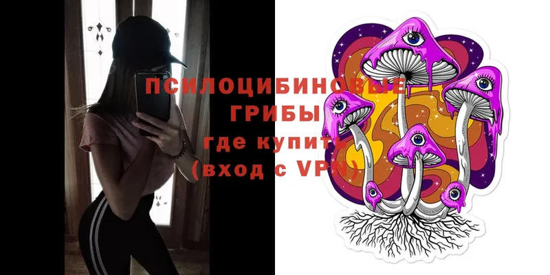 Галлюциногенные грибы MAGIC MUSHROOMS  Белозерск 